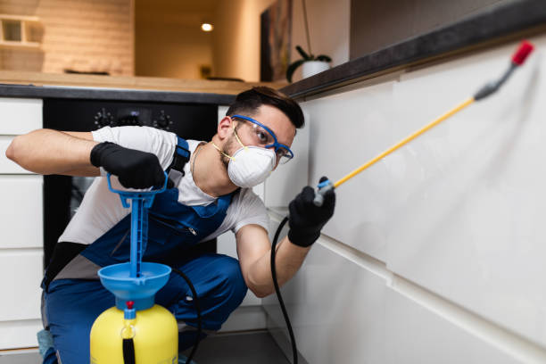 Best Mosquito Control Services  in Fayetteville, AL