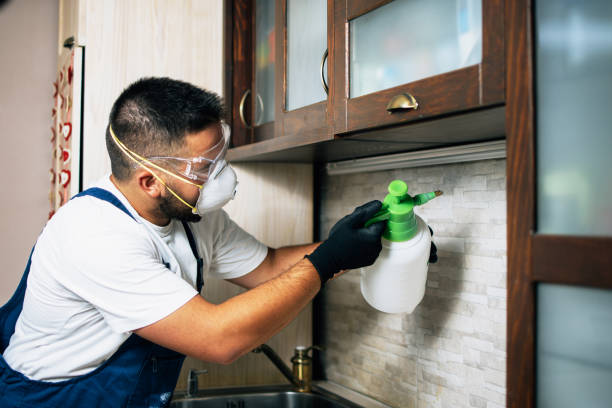 Best Bed Bug Extermination  in Fayetteville, AL