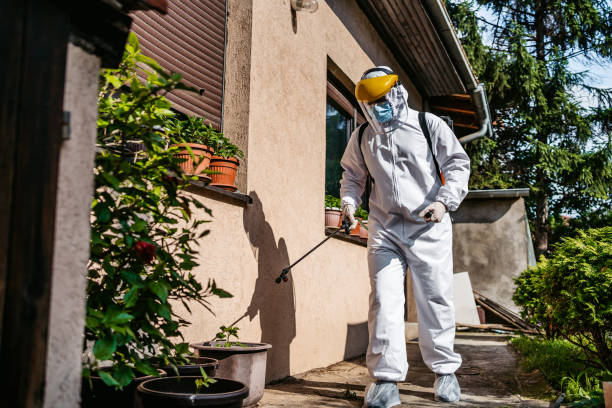Best Wasp Removal Services  in Fayetteville, AL