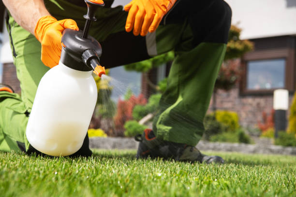 Wasp Removal Services in Fayetteville, AL