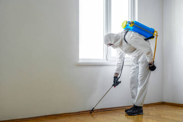 Best Pest Control for Businesses  in Fayetteville, AL