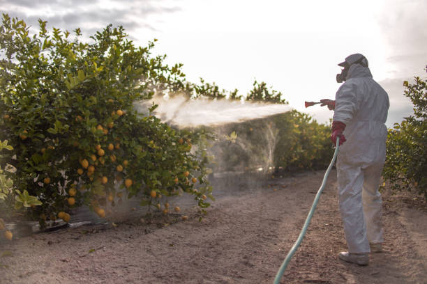 Trusted Fayetteville, AL Pest Control Experts