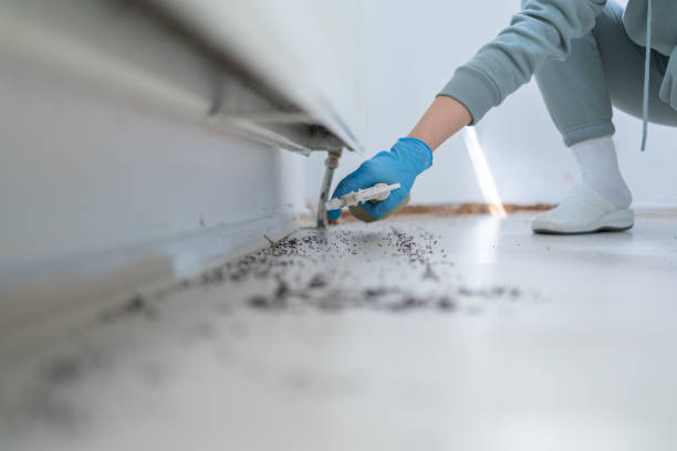 Pest Control for Restaurants in Fayetteville, AL