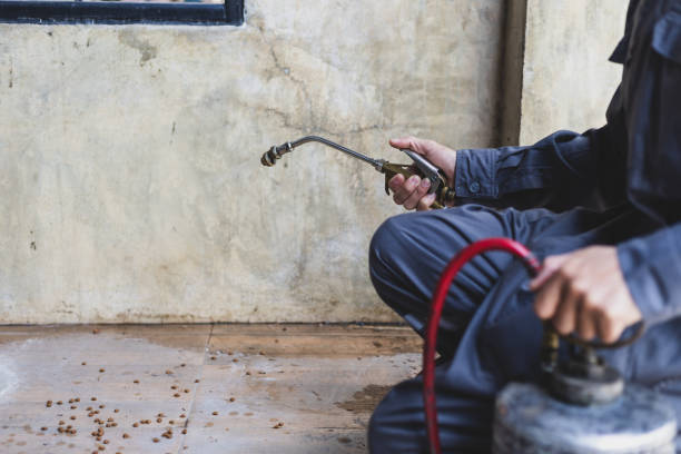 Best Affordable Pest Control Services  in Fayetteville, AL