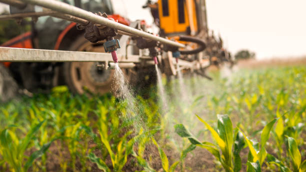Best Commercial Pest Control Services  in Fayetteville, AL